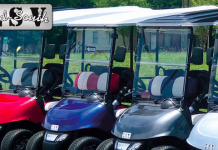 MID SOUTH LSV – BUILDING HIGH QUALITY, LOW COST STREET LEGAL VEHICLES IN THE U.S.A