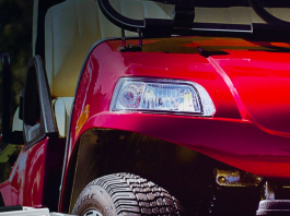 Evolution Powers into the Future