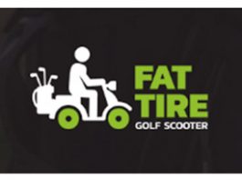 THE LEADER IN SINGLE RIDER GOLF CARTS