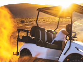 Eco Battery – Changing the Lithium Game