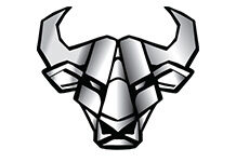 IRON BULL CARTS IS SEEKING NEW DEALERS FOR ITS STYLISH AND POWERFUL GOLF CARTS